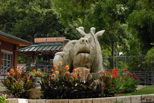 Frank Buck Zoo Map The Little Big Zoo In Gainesville, Tx: Frank Buck Zoo